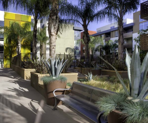 TGP_Inc_Alta Hollywood_03