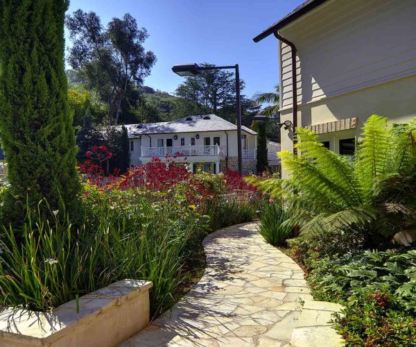 TGP_Inc_BelAir_04