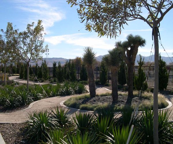 TGP_Inc_SierraHwy_Greenbelt_01