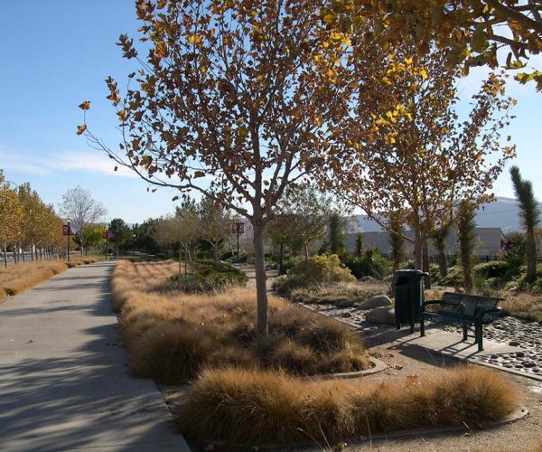 TGP_Inc_SierraHwy_Greenbelt_03