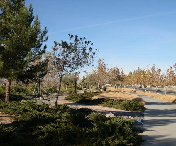 TGP_Inc_SierraHwy_Greenbelt_04